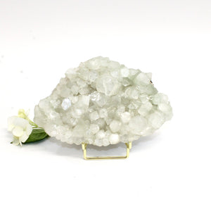 Apophyllite crystal cluster on stand | ASH&STONE Crystals Shop Auckland NZ