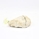 Clear quartz crystal geode pair | ASH&STONE Crystals Shop Auckland NZ