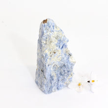 Load image into Gallery viewer, Kyanite crystal with cut base | ASH&amp;STONE Crystals Shop Auckland NZ
