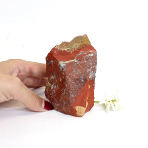 Red Jasper crystal raw | ASH&STONE Crystals Shop Auckland NZ