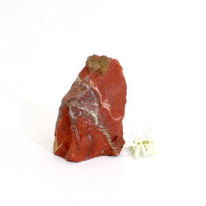 Red Jasper crystal raw | ASH&STONE Crystals Shop Auckland NZ