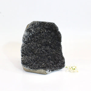 Large black amethyst crystal druzy with cut base 1.15kg | ASH&STONE Crystal Shop Auckland NZ