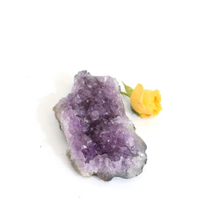 Amethyst crystal cluster | ASH&STONE Crystals Shop Auckland NZ