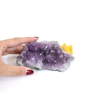 Amethyst crystal cluster | ASH&STONE Crystals Shop Auckland NZ