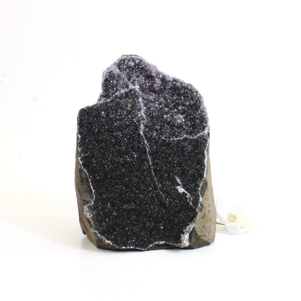 Large black amethyst crystal with purple amethyst inclusions 1.89kg | ASH&STONE Crystals Shop Auckland NZ