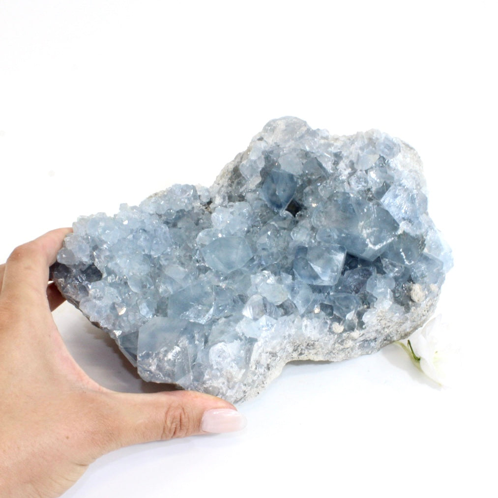 Large celestite crystal cluster 4.64kg | ASH&STONE Crystals Shop Auckland NZ