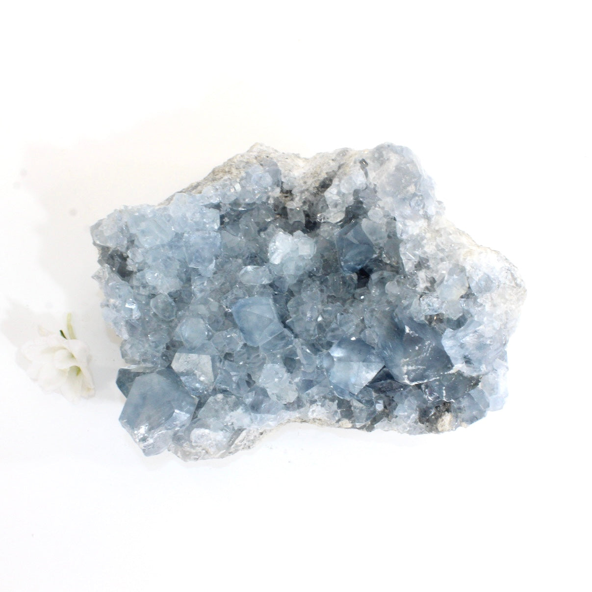 Large celestite crystal cluster 4.64kg | ASH&STONE Crystals Shop Auckland NZ