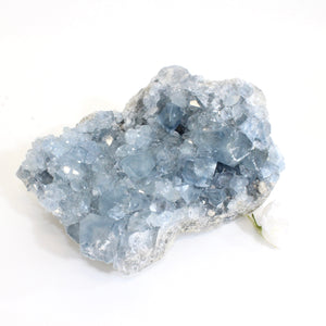 Large celestite crystal cluster 4.64kg | ASH&STONE Crystals Shop Auckland NZ