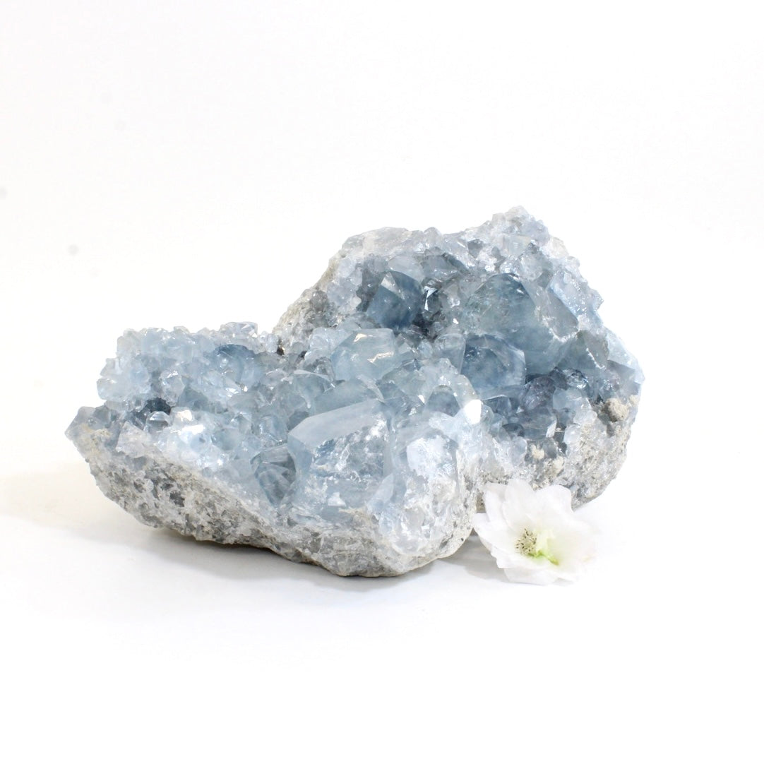 Large celestite crystal cluster 4.64kg | ASH&STONE Crystals Shop Auckland NZ