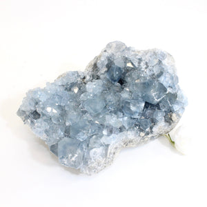 Large celestite crystal cluster 4.64kg | ASH&STONE Crystals Shop Auckland NZ