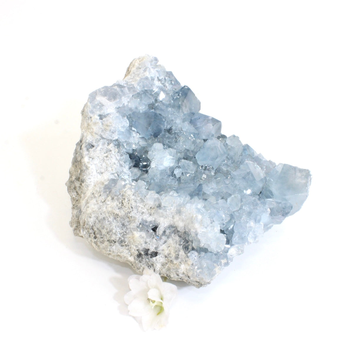 Large celestite crystal cluster 4.64kg | ASH&STONE Crystals Shop Auckland NZ