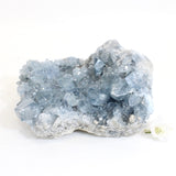 Large celestite crystal cluster 4.64kg | ASH&STONE Crystals Shop Auckland NZ