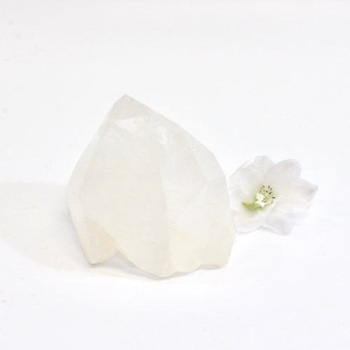 Himalayan clear quartz crystal point | ASH&STONE Crystals Shop Auckland NZ