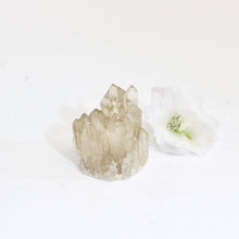 Load image into Gallery viewer, Kundalini Natural Citrine Crystal Cluster - extremely rare | ASH&amp;STONE Crystals Shop Auckland NZKundalini Natural Citrine Crystal Cluster - extremely rare | ASH&amp;STONE Crystals Shop Auckland NZ

