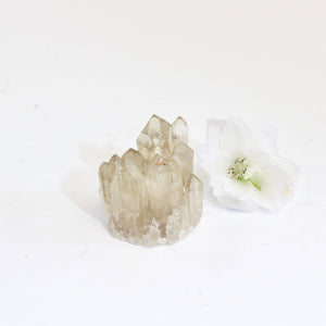 Kundalini Natural Citrine Crystal Cluster - extremely rare | ASH&STONE Crystals Shop Auckland NZKundalini Natural Citrine Crystal Cluster - extremely rare | ASH&STONE Crystals Shop Auckland NZ