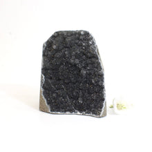 Load image into Gallery viewer, Black amethyst crystal with cut base | ASH&amp;STONE Crystals Shop Auckland NZ
