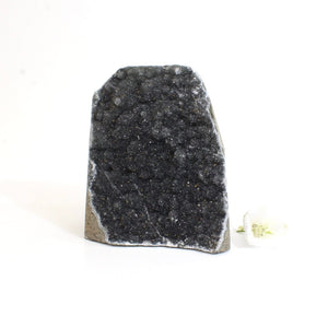 Black amethyst crystal with cut base | ASH&STONE Crystals Shop Auckland NZ