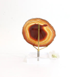 Agate crystal slice on stand | ASH&STONE Crystals Shop Auckland NZ