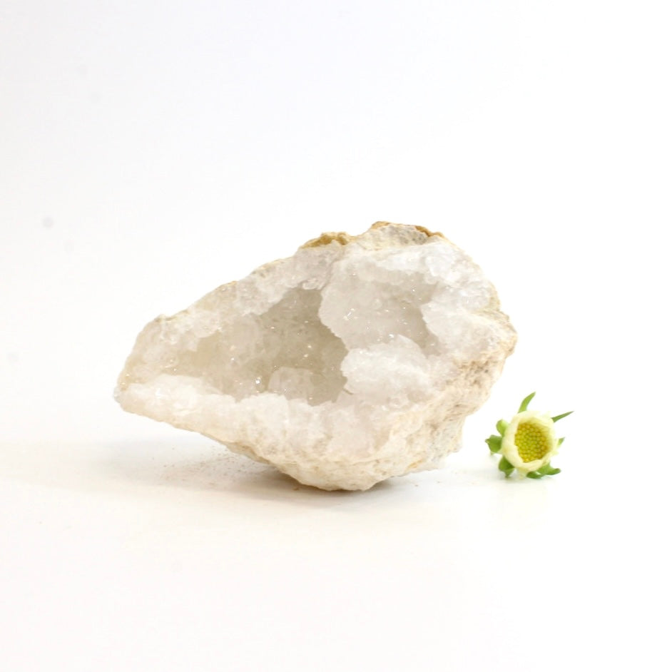 Clear quartz crystal geode half | ASH&STONE Crystals Shop Auckland NZ