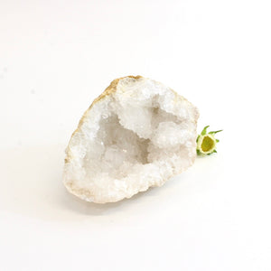 Clear quartz crystal geode half | ASH&STONE Crystals Shop Auckland NZ