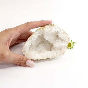 Clear quartz crystal geode half | ASH&STONE Crystals Shop Auckland NZ