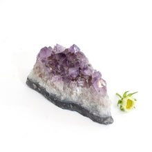 Load image into Gallery viewer, Amethyst crystal cluster | ASH&amp;STONE Crystals Shop Auckland NZ
