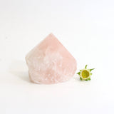Rose quartz crystal point | ASH&STONE Crystals Shop Auckland NZ