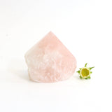 Rose quartz crystal point | ASH&STONE Crystals Shop Auckland NZ
