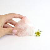Rose quartz crystal point | ASH&STONE Crystals Shop Auckland NZ