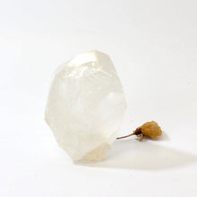 Load image into Gallery viewer, Himalayan clear quartz crystal natural point | ASH&amp;STONE Crystals Shop Auckland NZ
