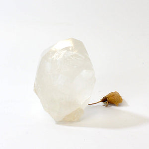 Himalayan clear quartz crystal natural point | ASH&STONE Crystals Shop Auckland NZ