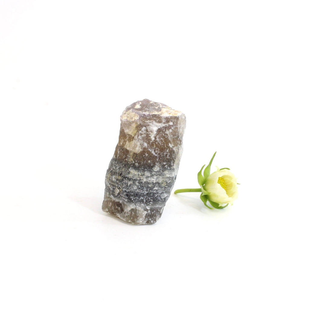 Raw black moonstone crystal | ASH&STONE Crystals Shop Auckland NZ