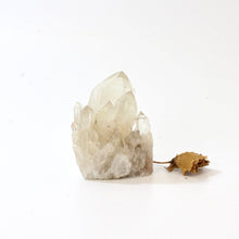 Load image into Gallery viewer, Kundalini Natural Citrine Crystal Cluster - extremely rare | ASH&amp;STONE Crystals Shop Auckland NZ
