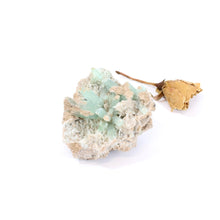Load image into Gallery viewer, Green aragonite crystal cluster | ASH&amp;STONE Crystals Shop Auckland NZ
