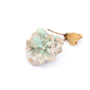 Green aragonite crystal cluster | ASH&STONE Crystals Shop Auckland NZ