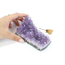Load image into Gallery viewer, Amethyst crystal cluster | ASH&amp;STONE Crystals NZ
