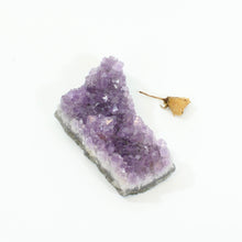 Load image into Gallery viewer, Amethyst crystal cluster | ASH&amp;STONE Crystals NZ
