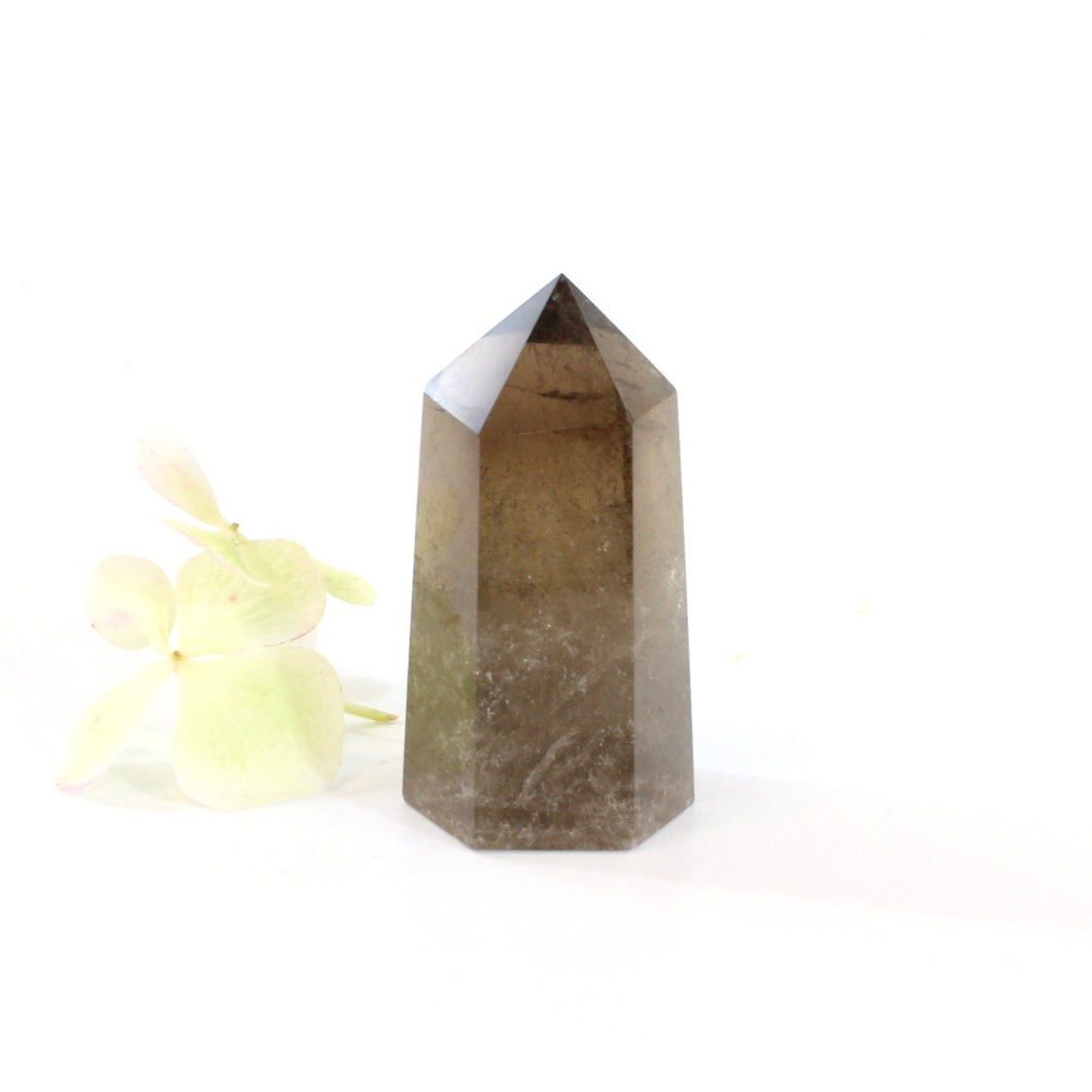 Smoky quartz crystal point | ASH&STONE Crystals Shop Auckland NZ