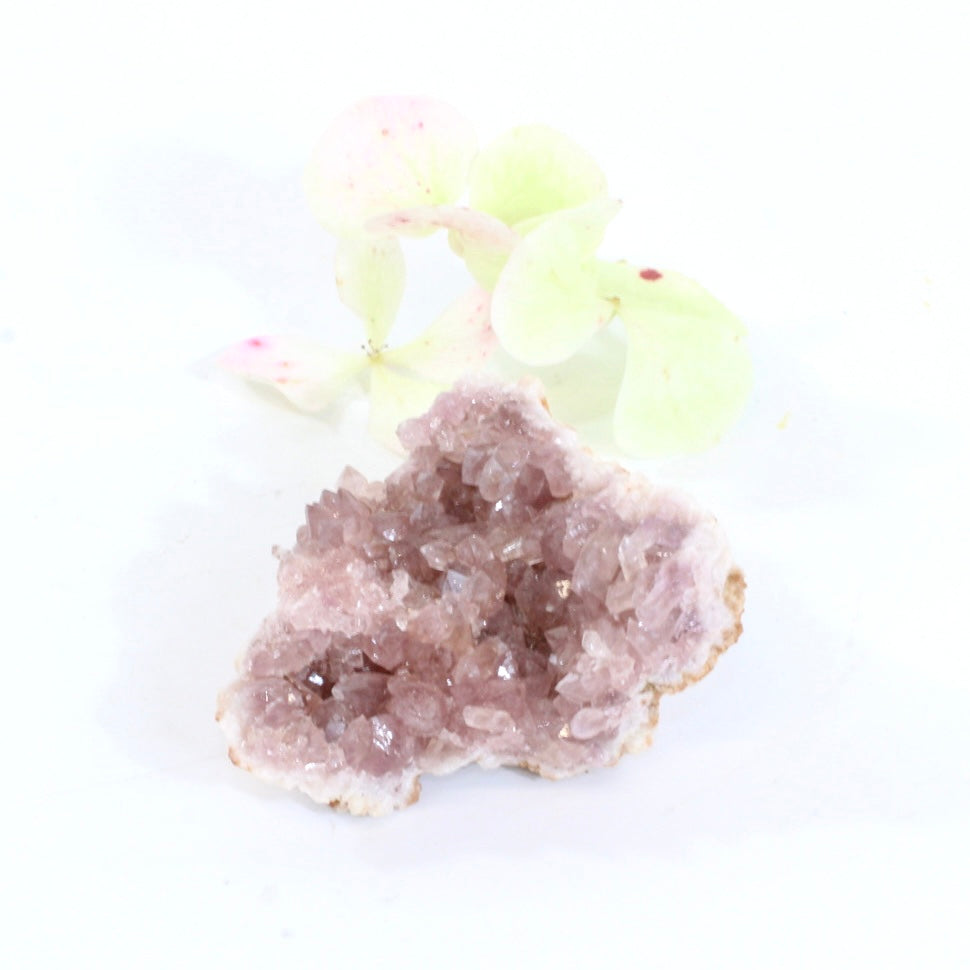 Pink amethyst crystal cluster | ASH&STONE Crystals Shop Auckland NZ