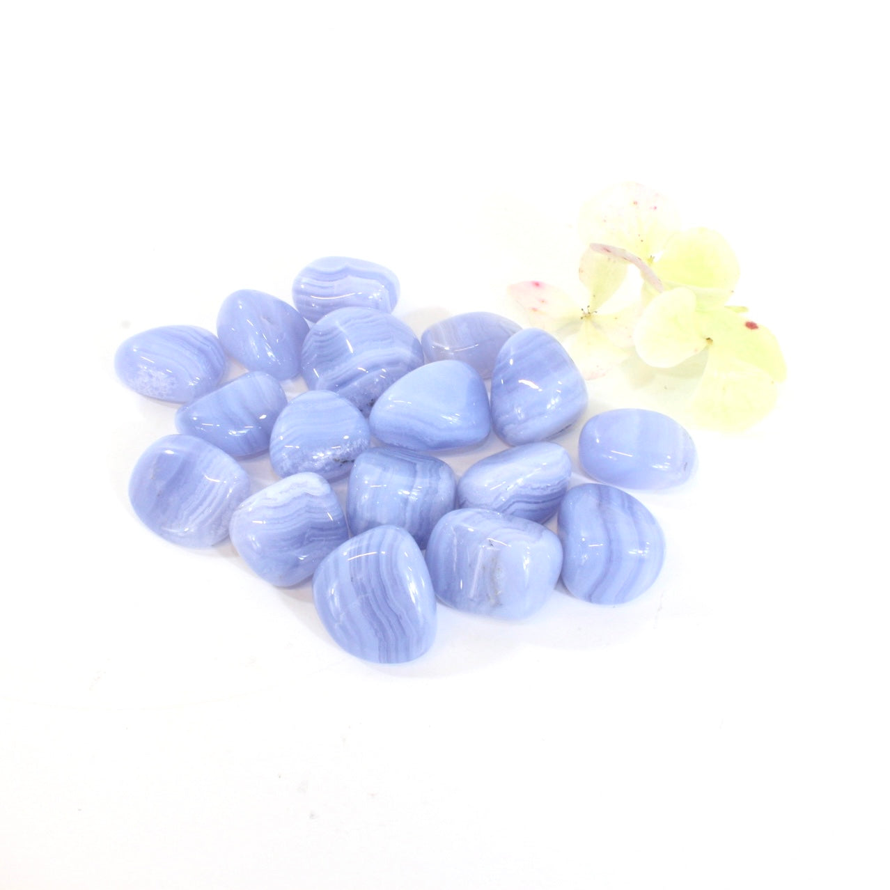 Blue lace agate tumblestone  ASH&STONE Crystals Shop
