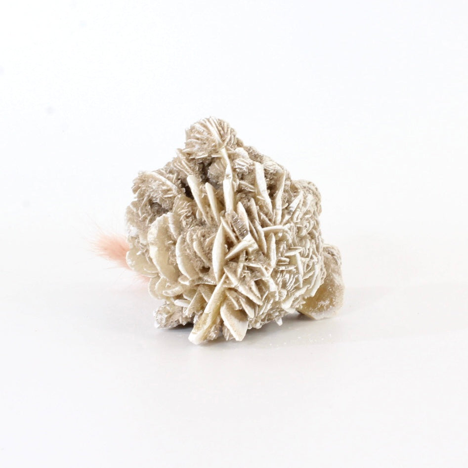 Desert rose crystal cluster | ASH&STONE Crystals Shop Auckland NZ