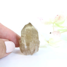 Load image into Gallery viewer, Kundalini Natural Citrine Crystal Point - extremely rare | ASH&amp;STONE Crystals Shop Auckland NZ
