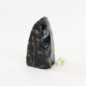 Black obsidian cut base | ASH&STONE Crystals Shop Auckland NZ