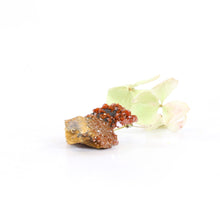 Load image into Gallery viewer, Vanadinite crystal cluster | ASH&amp;STONE Crystals Shop Auckland NZ
