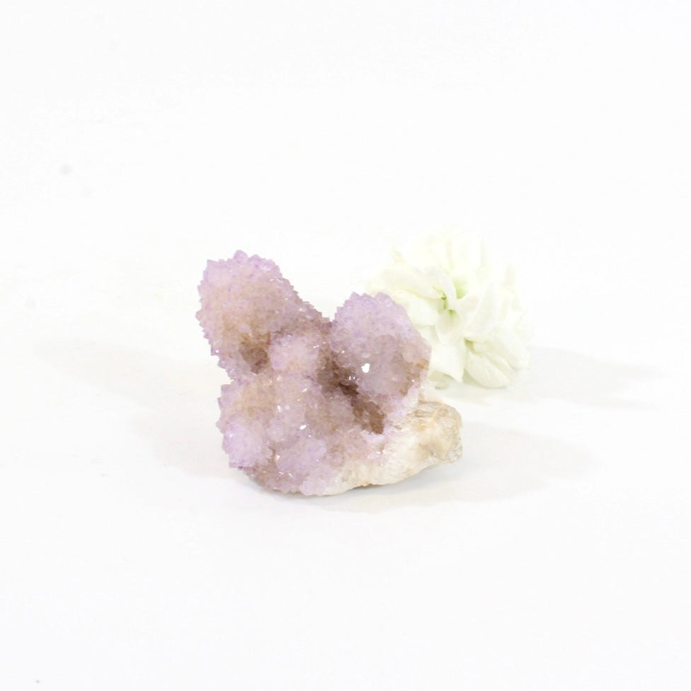 Spirit quartz crystal cluster - rare | ASH&STONE Crystals Shop Auckland NZ