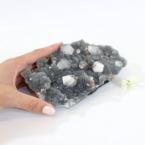 Large apophyllite on blue chalcedony crystal cluster | ASH&STONE Crystals Shop Auckland NZ
