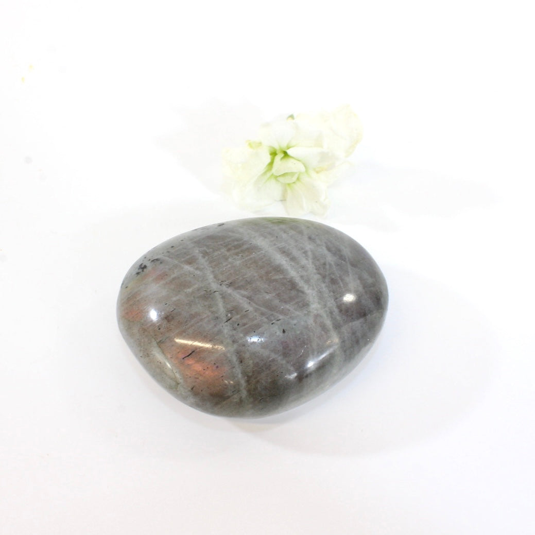 Lavender labradorite crystal worry stone | ASH&STONE Crystals Shop Auckland NZ