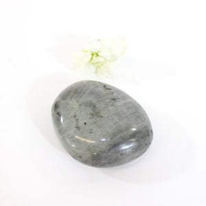 Lavender labradorite crystal worry stone | ASH&STONE Crystals Shop Auckland NZ