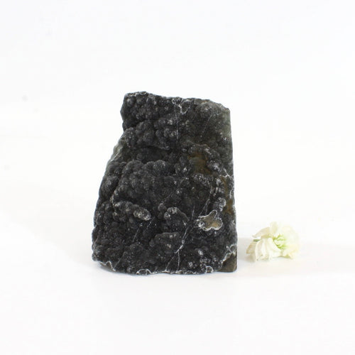 Black amethyst crystal with cut base | ASH&STONE Crystals Shop Auckland NZ