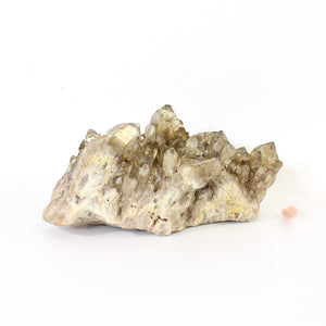 Large Kundalini Natural Citrine Crystal Cluster 3.18kg - extremely rare | ASH&STONE Crystals Shop Auckland NZ